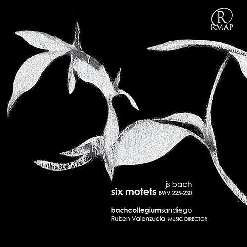 Bach Motets