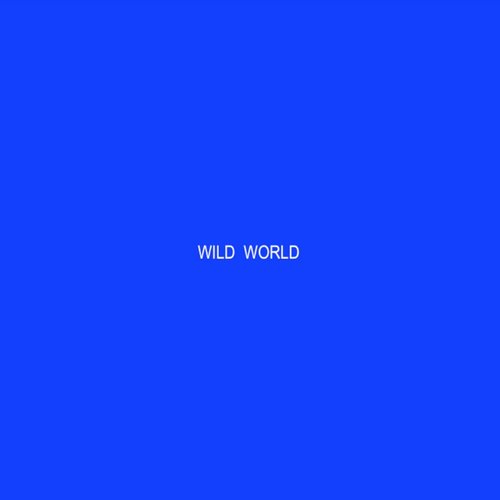Wild World