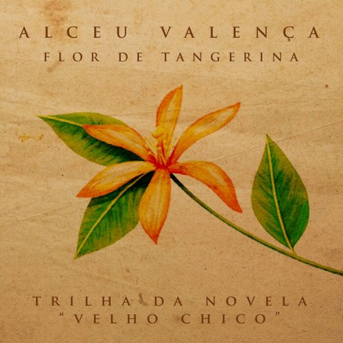 Flor de Tangerina - Single