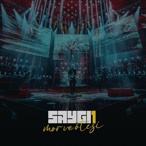 Mor ve Ötesi (Saygi1)