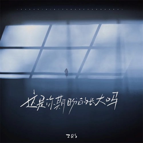 这是你期盼的长大吗 - Single