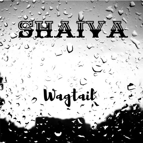 Wagtail - EP