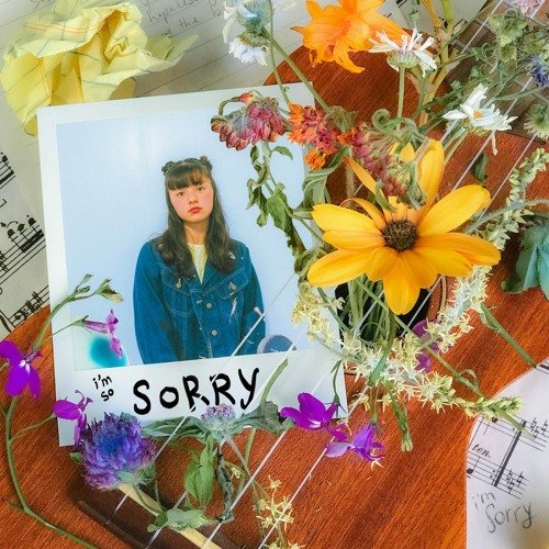 The Sorry Song - Single