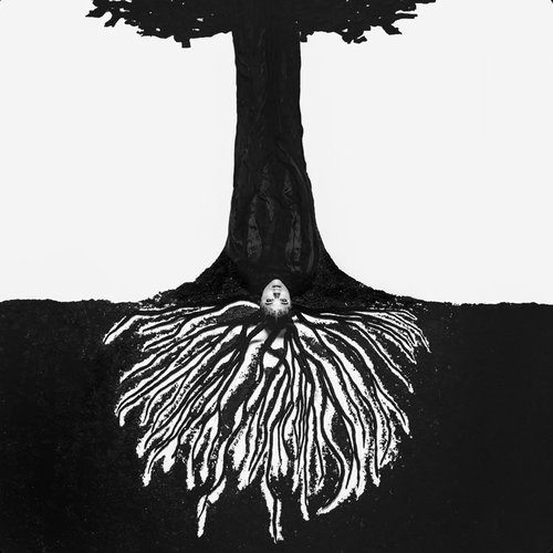 a tree planted by water - EP