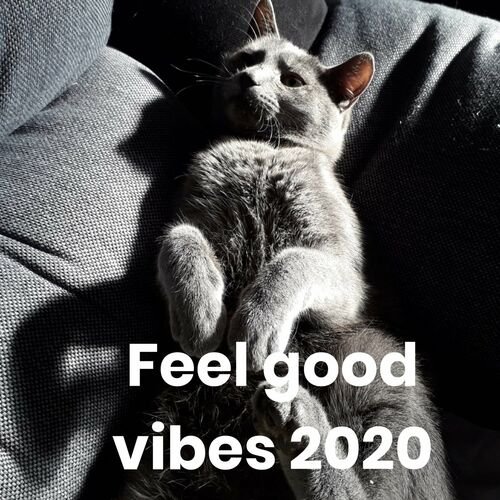 Feel good vibes 2020