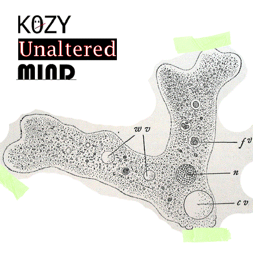 Unaltered Mind Single