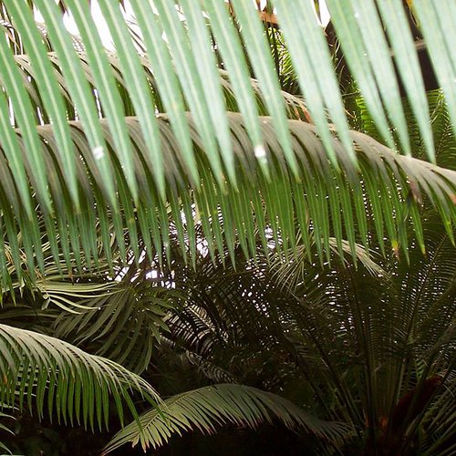 Electro​-​Acoustic Dubcology I - IV
