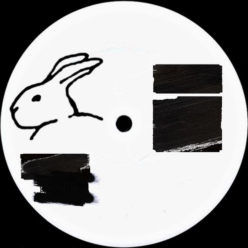 Life in the Echo Chamber