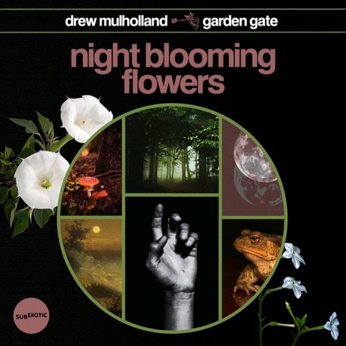 Night Blooming Flowers