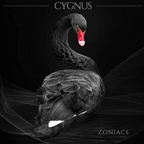 Cygnus