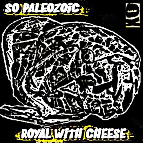 So Paleozoic