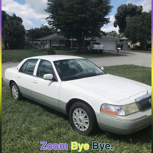 Zoom Bye Bye (REAL JUNGLE) - Single