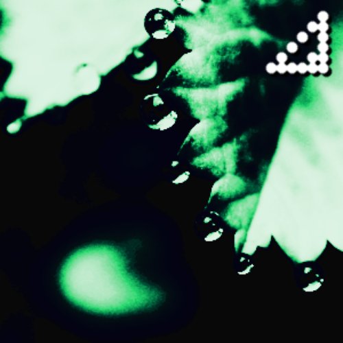 Ansiform