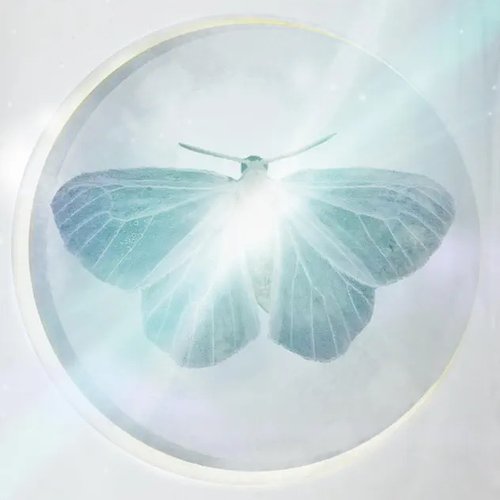 Felicity - Single