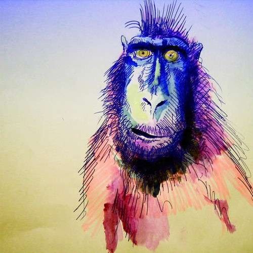 Fingerprints