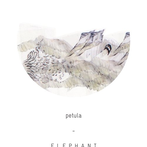 Elephant Dresses