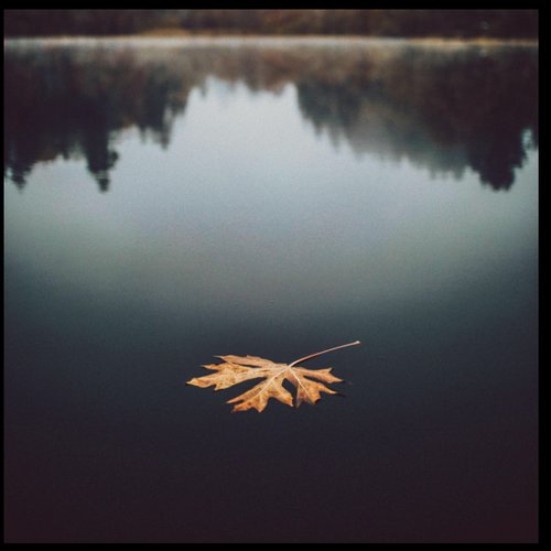 Turning Leaves