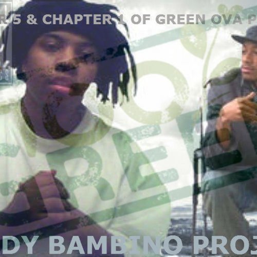 The Shady Bambino Project