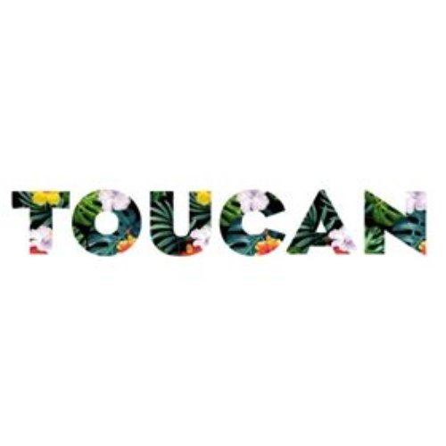 Toucan