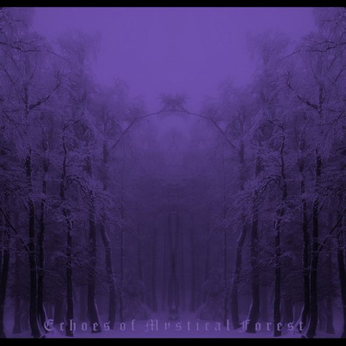 Echoes of Mystical Forest