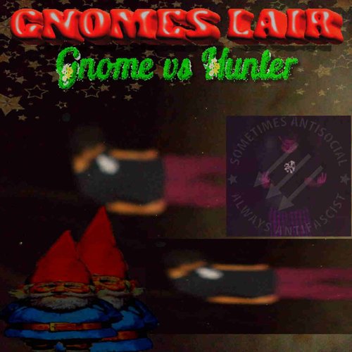 Gnome's Lair: Gnome vs Hunter