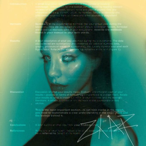 THE REPORT - Single