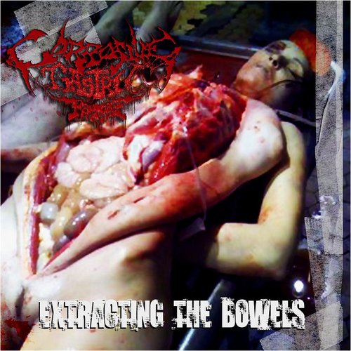 Extracting The Bowels