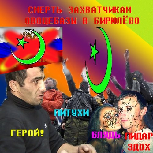 Смерть захватчикам овощебазы в Бирюлёво