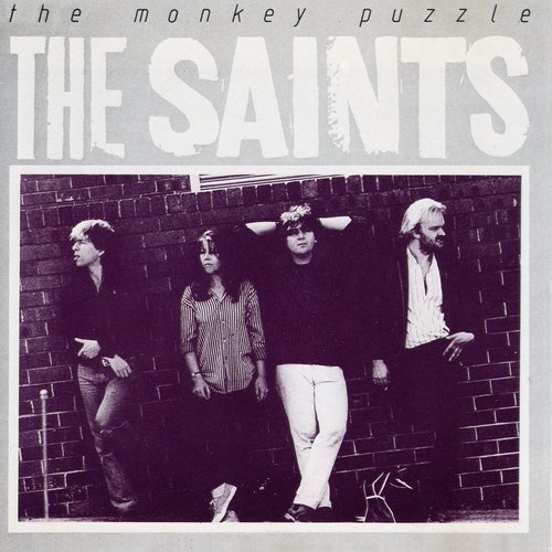 The Monkey's Puzzle + Paralytic Tonight Dublin Tomorrow