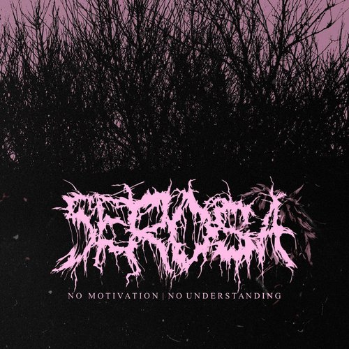 No Motivation | No Understanding