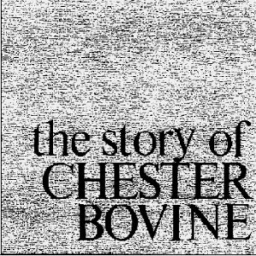 Chester Bovine
