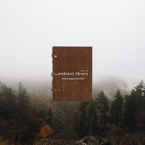 Ambient Library (Introspection01)