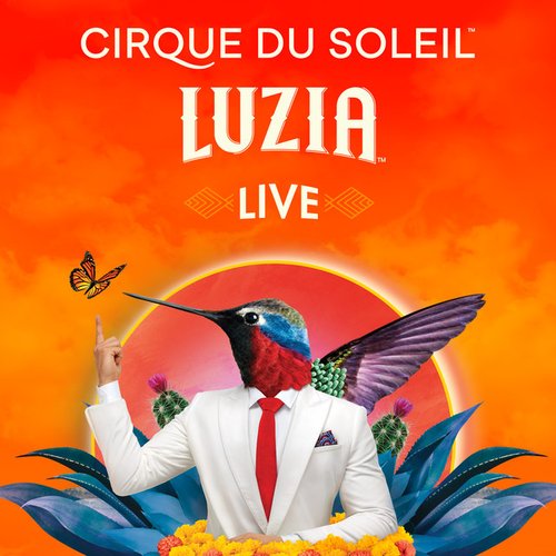 Luzia (Live)