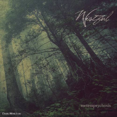Metempsychosis