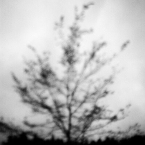 scenery, drawn by the auditory