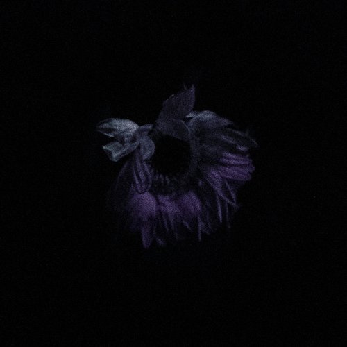 Sunray Inertia - Single