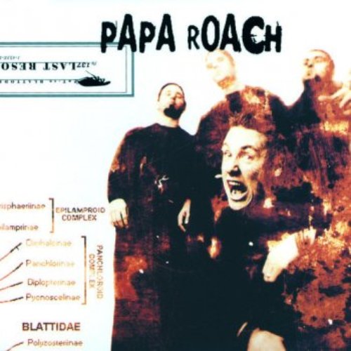 Last Resort (International Version)