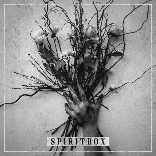 Spiritbox