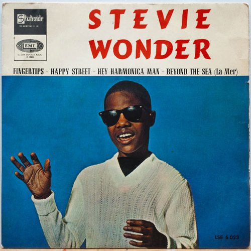 Stevie Wonder