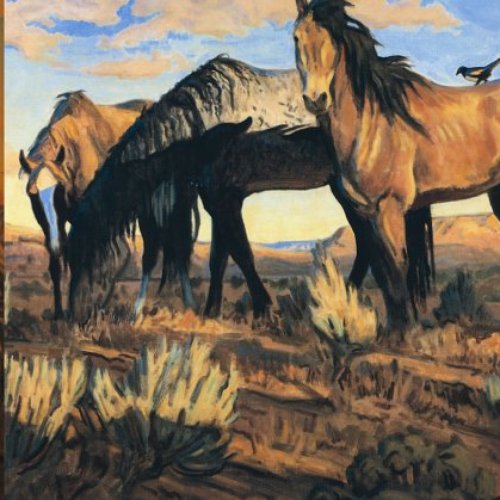 Songs from the Gravel Road