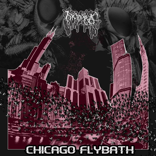 Chicago Flybath