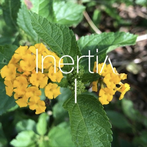 Inertia I