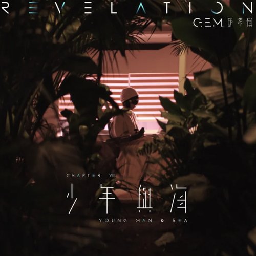 少年與海