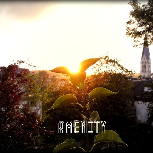 Amenity