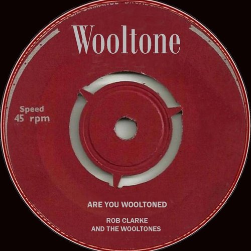 Are You Wooltoned?