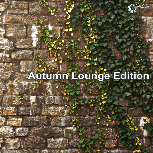 Autumn Lounge Edition