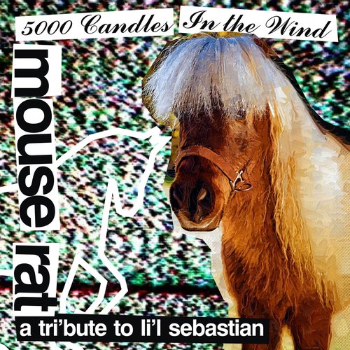 5000 Candles In The Wind: A Tri'bute to Li'l Sebastian