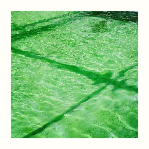 初夏