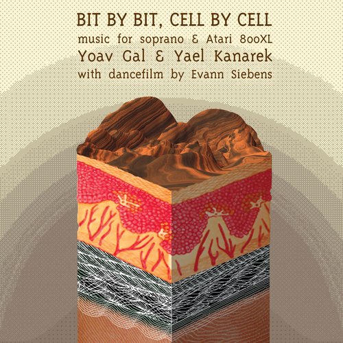 Gal: Bit by Bit, Cell by Cell