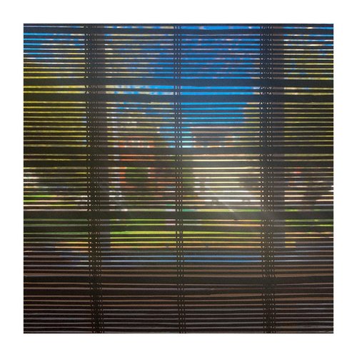 Looking at the World Through a Window